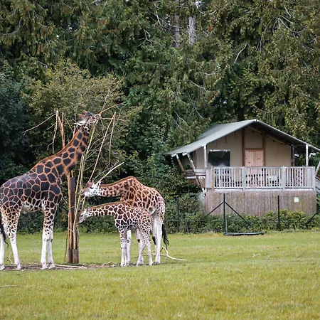 Knuthenborg Safaripark Maribo