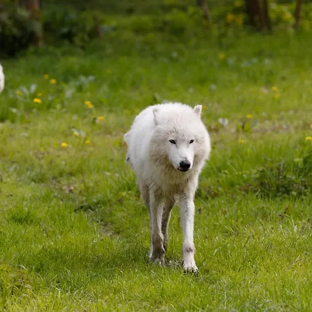 Knuthenborg Safaripark *