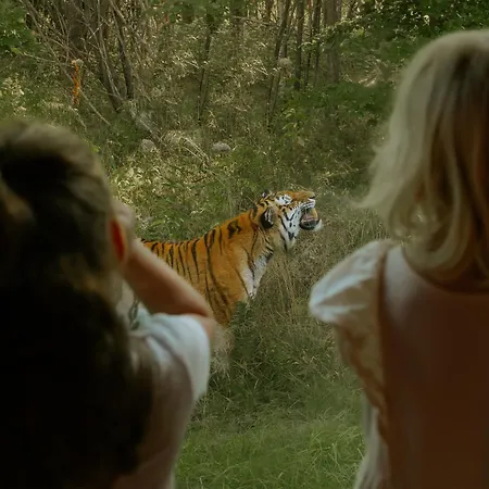 Knuthenborg Safaripark Aldeamento Turístico Maribo