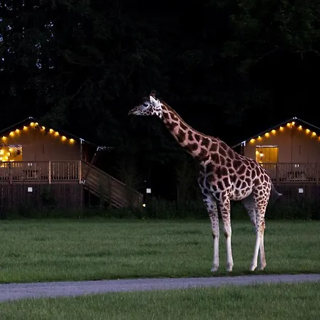 Aldeamento Turístico Knuthenborg Safaripark *
