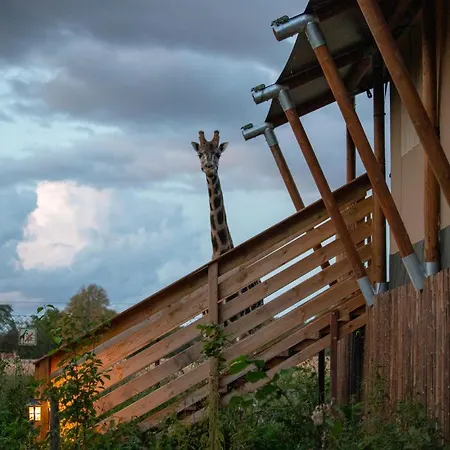 Knuthenborg Safaripark Πάρκο διακοπών