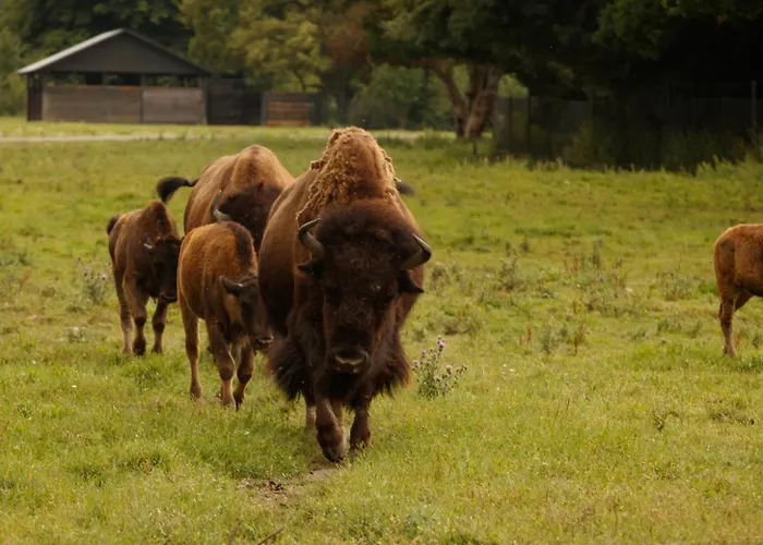 Holiday park Knuthenborg Safaripark Maribo
