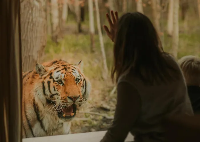 Holiday park Knuthenborg Safaripark *