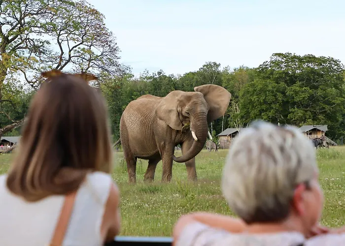 Holiday park Knuthenborg Safaripark Maribo