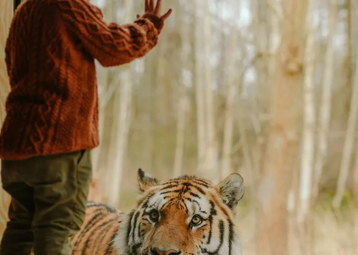 Holiday park Knuthenborg Safaripark Maribo