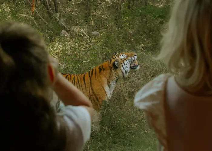 Knuthenborg Safaripark Holiday park Maribo