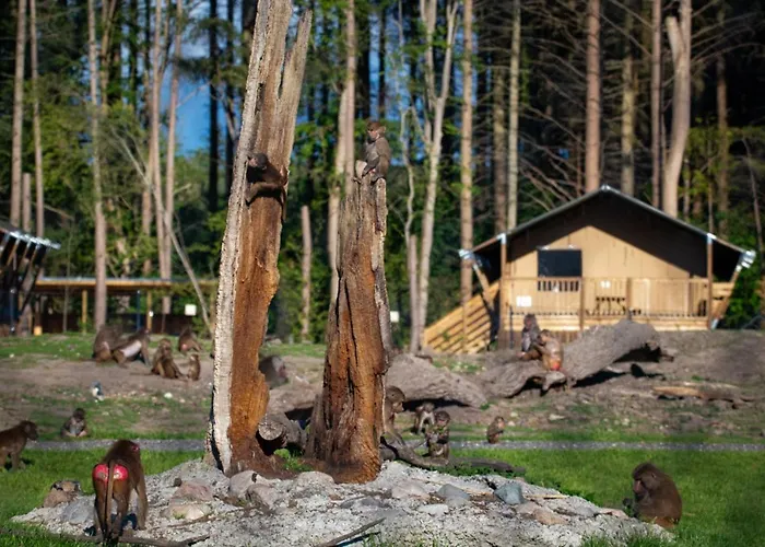 Knuthenborg Safaripark * Maribo