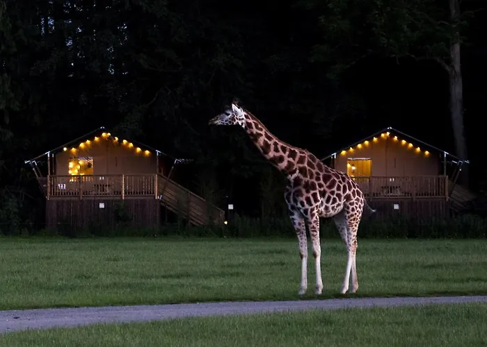 Holiday park Knuthenborg Safaripark Maribo