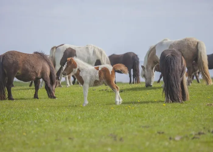 Knuthenborg Safaripark *