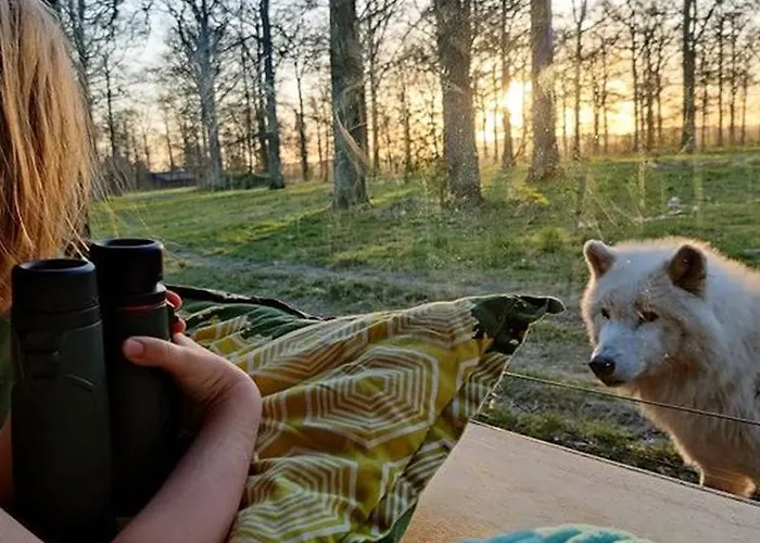 Holiday park Knuthenborg Safaripark Maribo