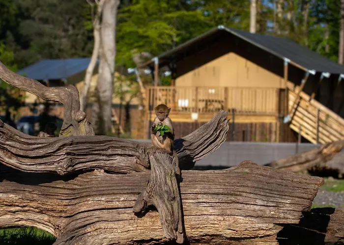 Knuthenborg Safaripark Holiday park