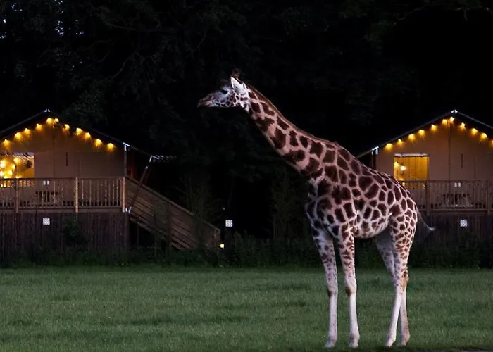 Holiday park Knuthenborg Safaripark *