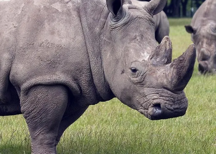 Knuthenborg Safaripark Holiday park Maribo