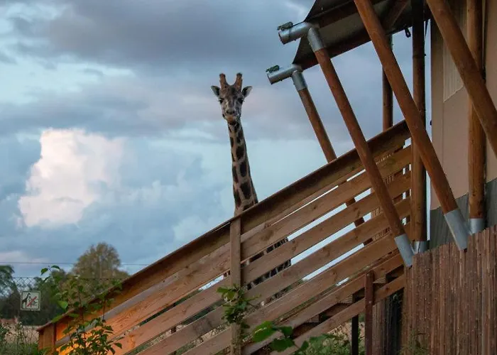 Knuthenborg Safaripark Holiday park