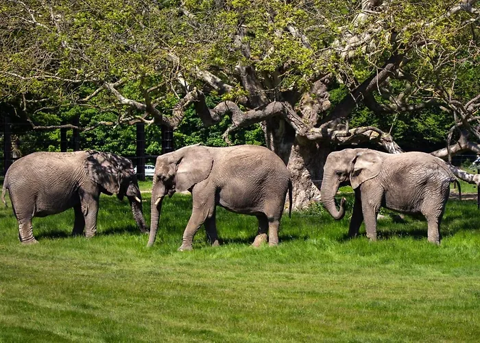 Knuthenborg Safaripark Prázdninový areál Maribo